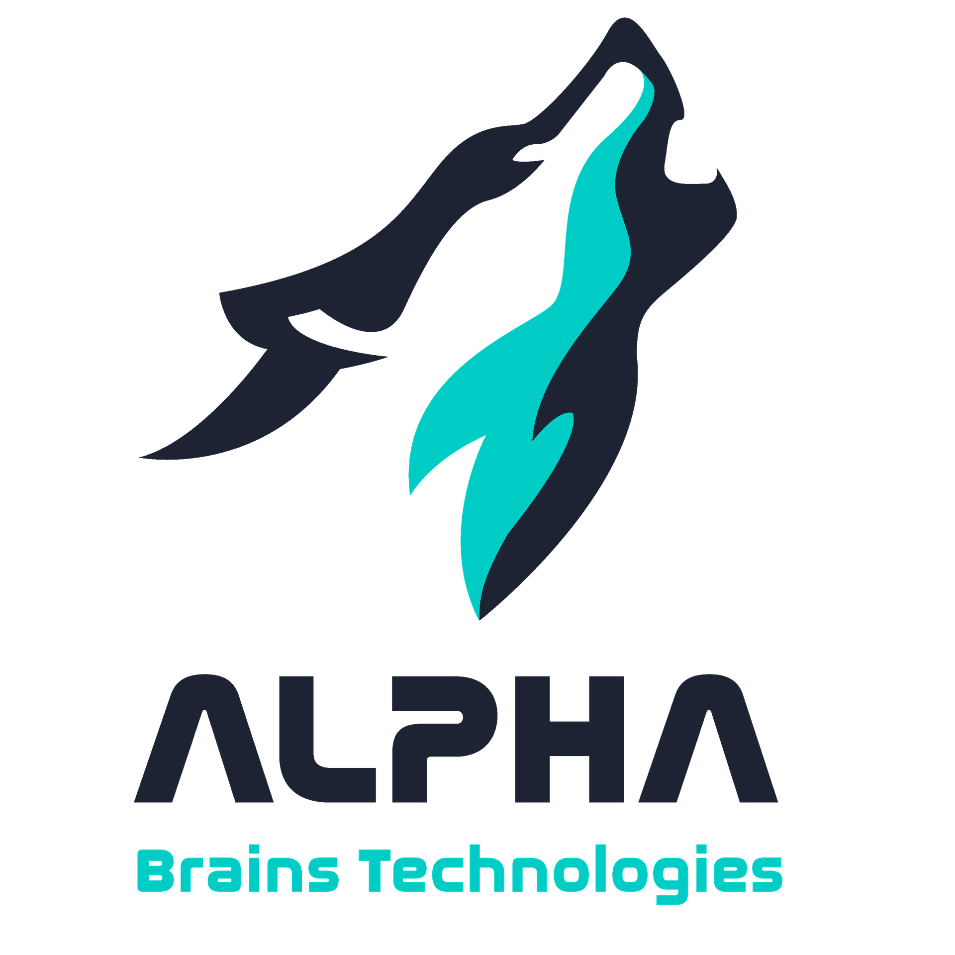 My Website